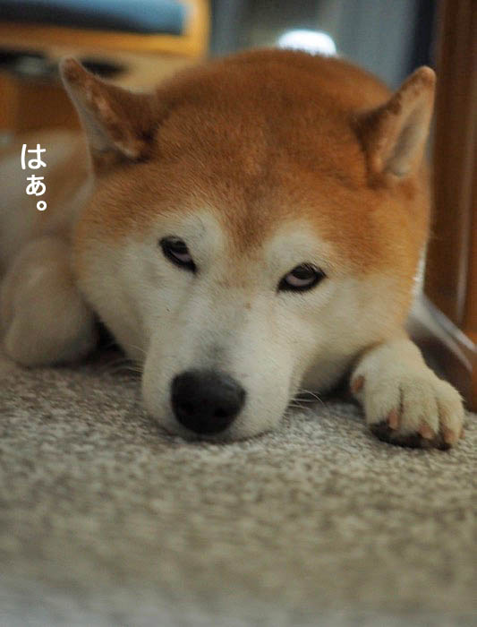 10日夜ブログ６