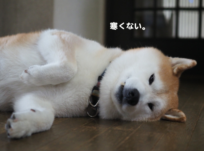 5日ブログ３