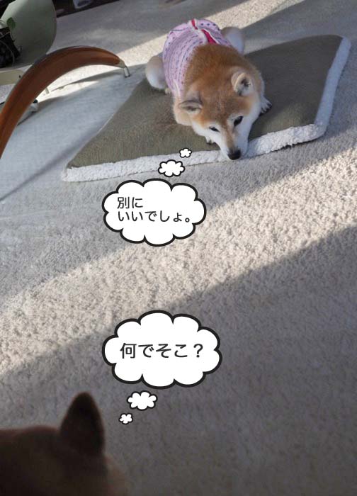 3日夜ブログ４