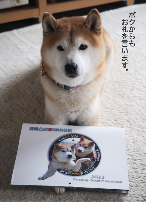 7日午後ブログ３
