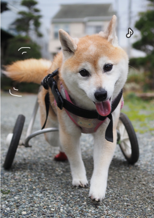 29日夜ブログ４