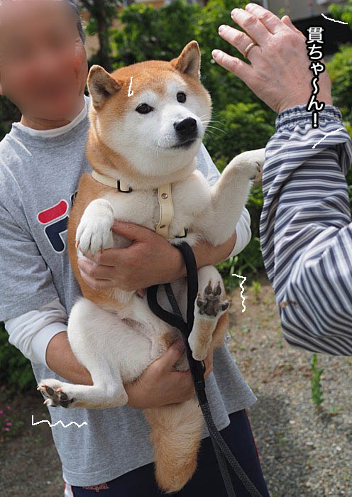 13日午後ブログ８