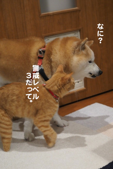 2日夜ブログ３