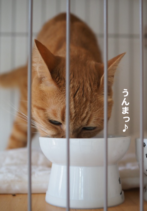 16日夕ブログ２