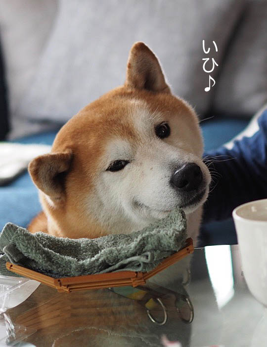 15日ブログ8