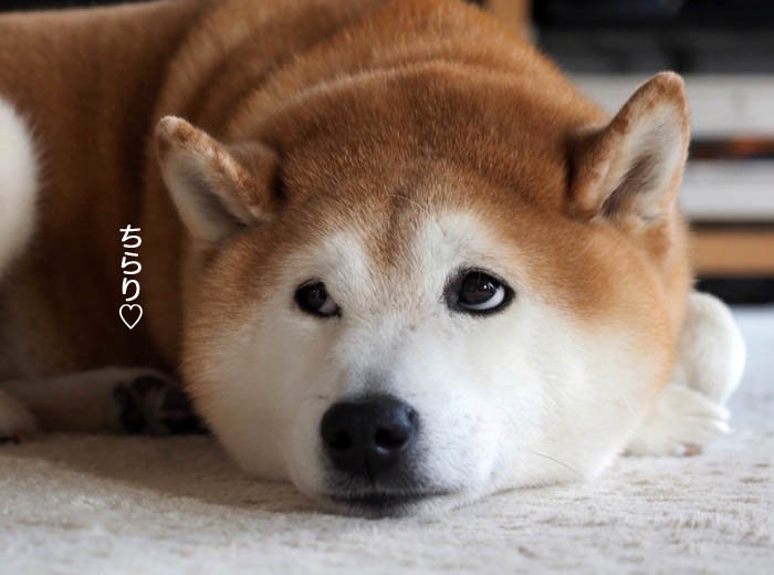 29日ブログ４