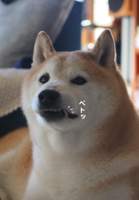 5日夕ブログ３