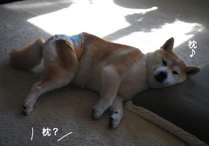 28日ブログ２