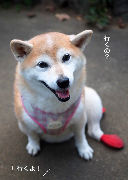 12日ブログ１