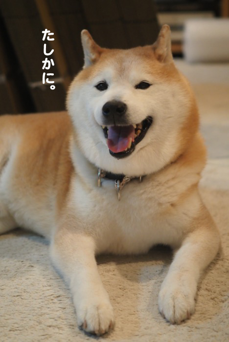 9日夕ブログ７