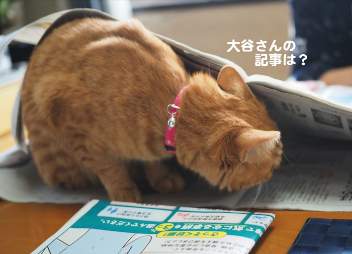 23日ブログ3