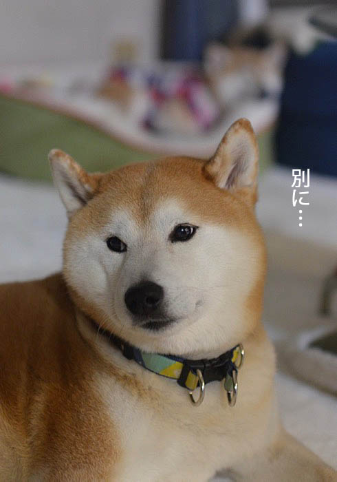 24日ブログ6