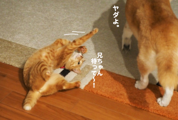 15日夕ブログ８