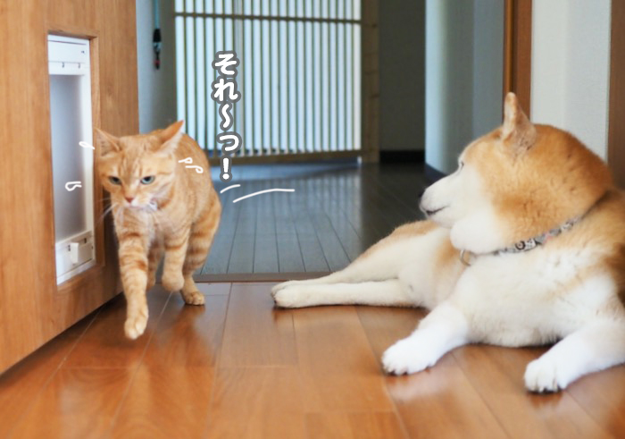 8日夕ブログ９jpg