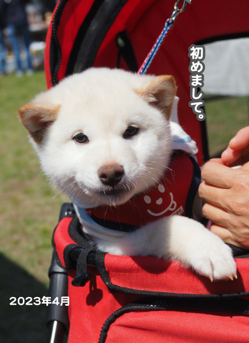 10日夕ブログ１１