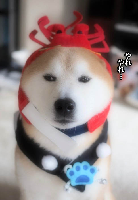 12日ブログ２