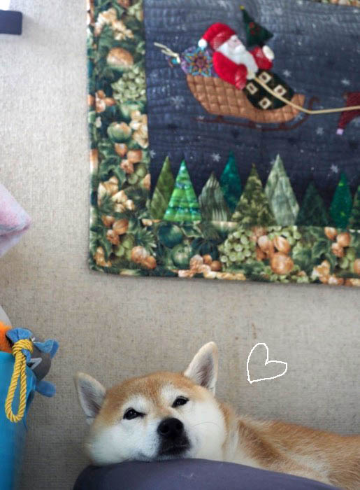 6日ブログ４