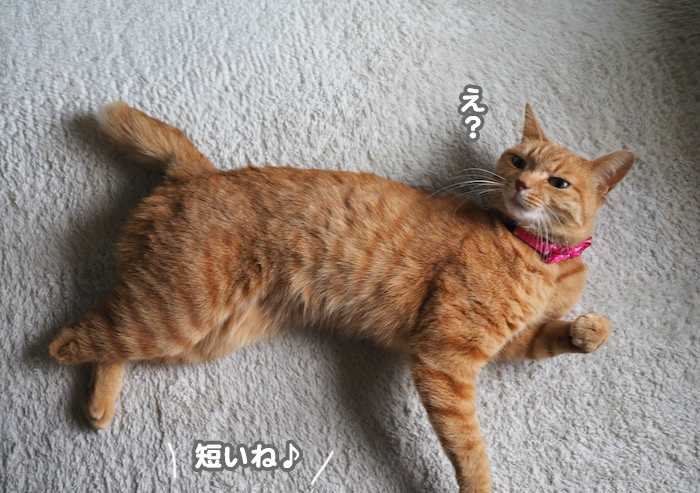11日夜ブログ４