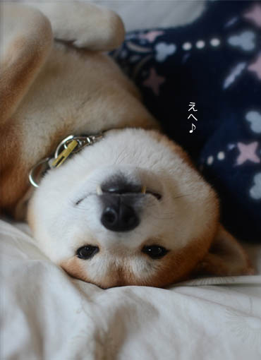 26日ブログ3.jpg
