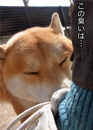 16日ブログ１１.jpg