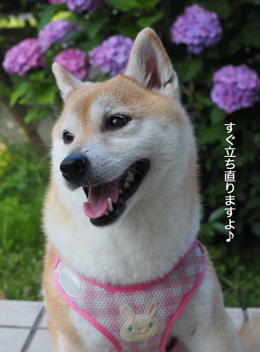 20日夜ブログ３