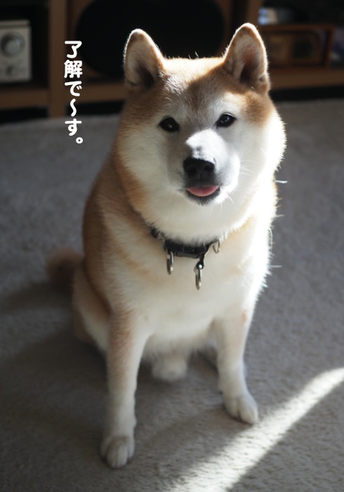 23日ブログ５