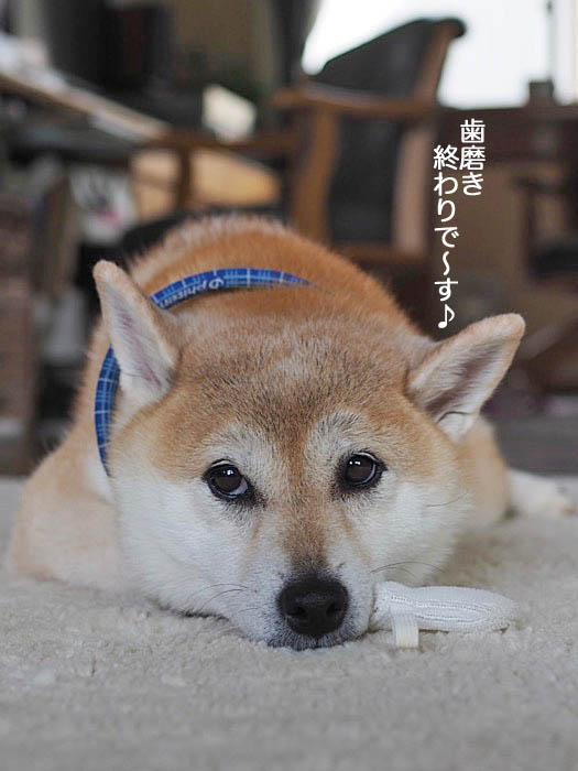 18日ブログ８