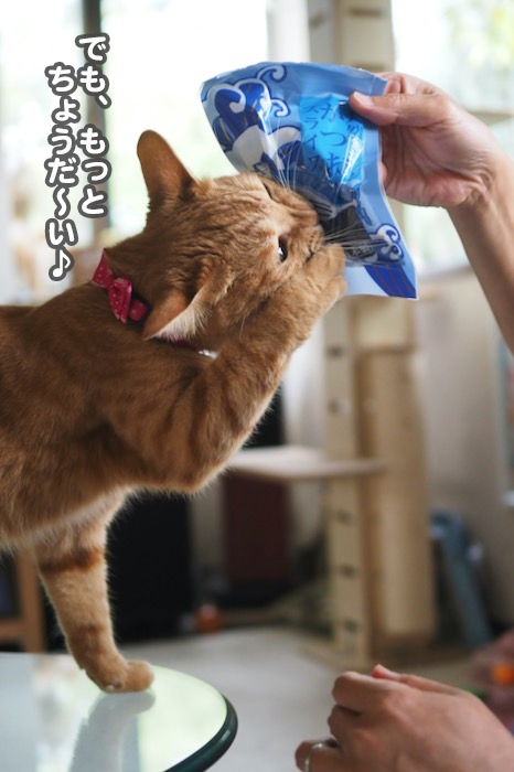 18日夕ブログ16