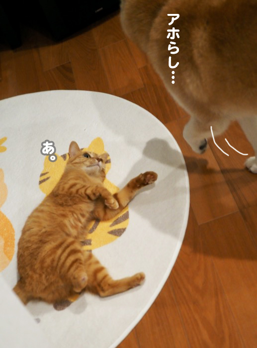 4日夕ブログ８