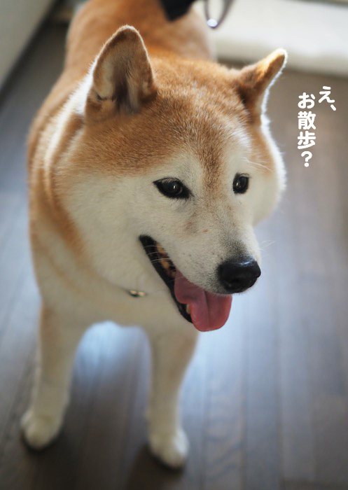 18日ブログ3