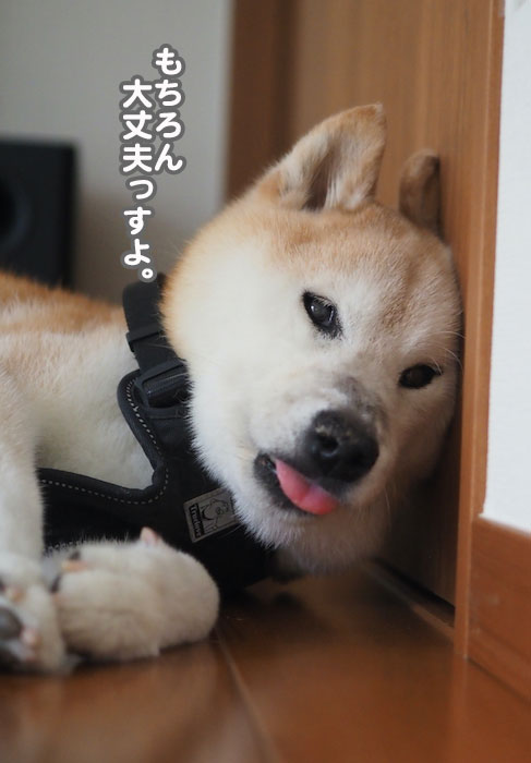 9日夕ブログ５