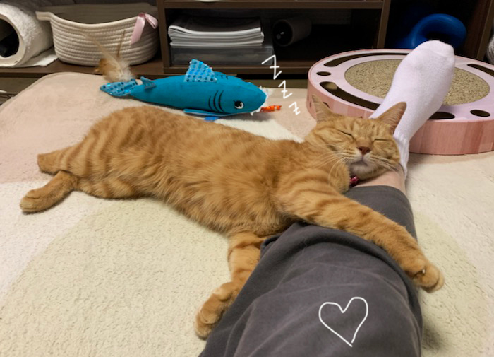 19日夕ブログ６