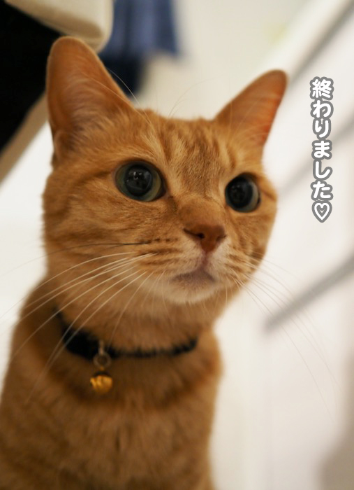 2日ブログ３