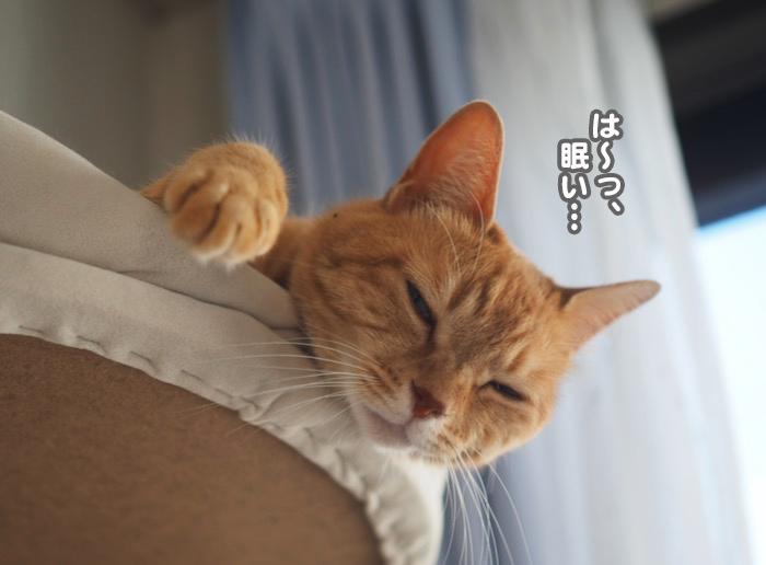 18日夕ブログ３