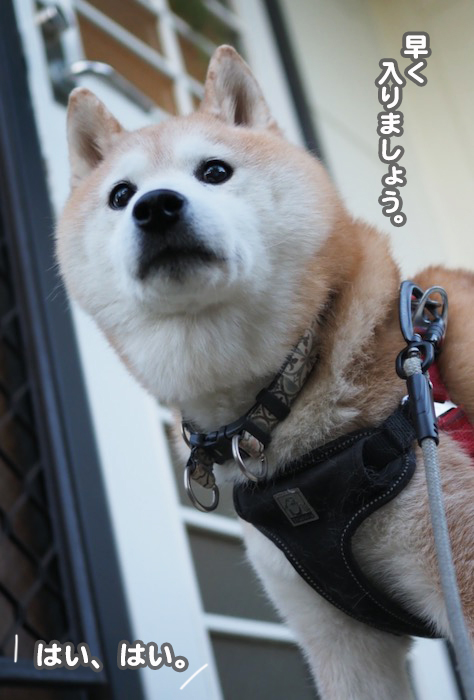 14日夕ブログ６