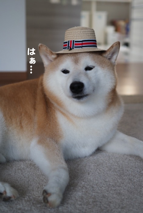 10日ブログ３