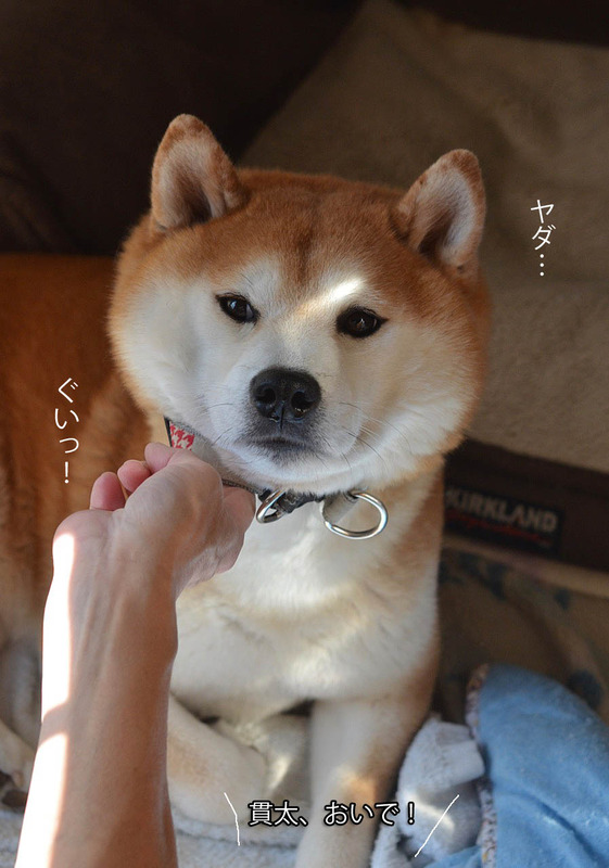 13日ブログ4