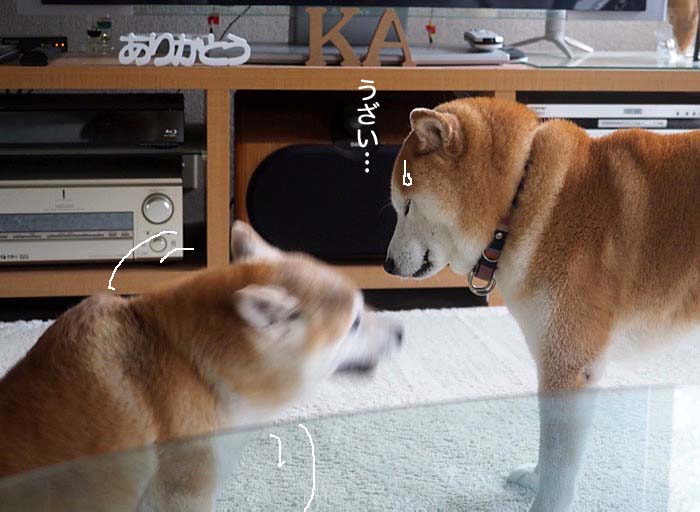 16日夕ブログ４