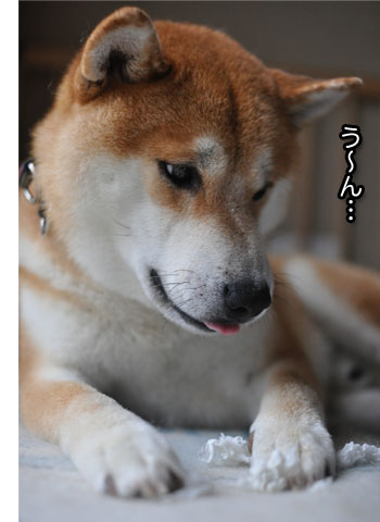 23日ブログ9.jpg