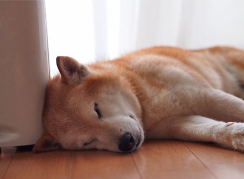 14日ブログ3.jpg