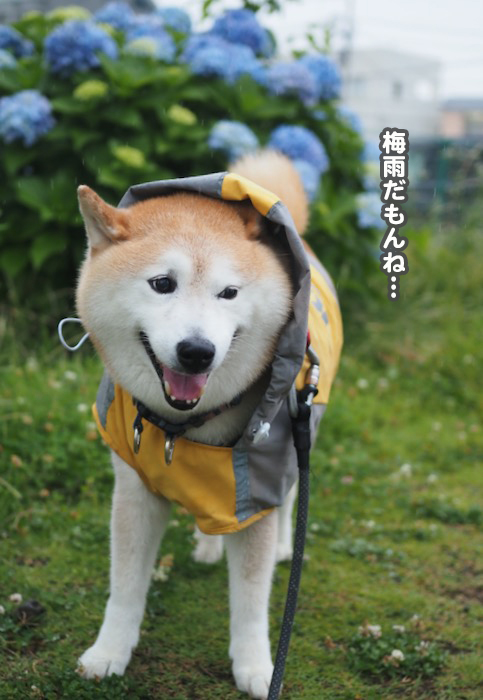 22日夕ブログ3
