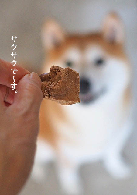 7日ブログ7