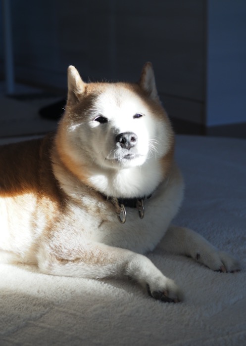 16日ブログ２