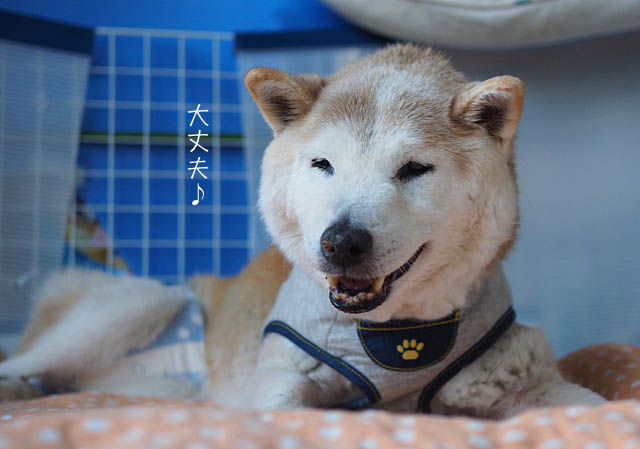 21日ブログ2
