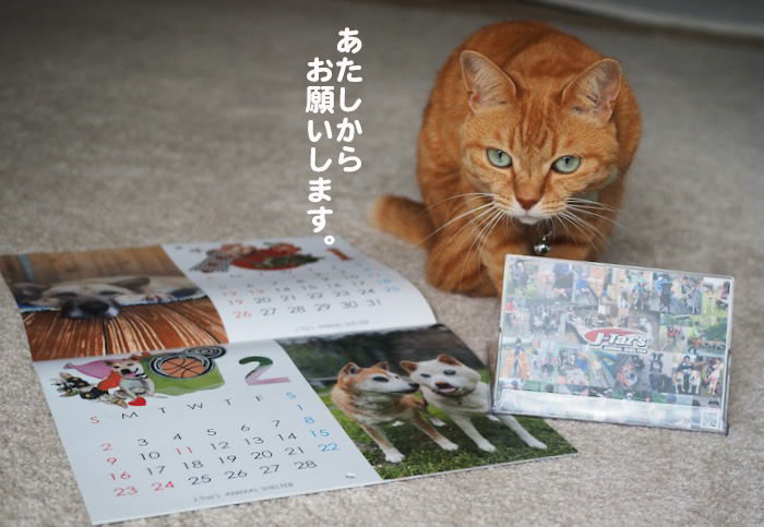 18日夕ブログ５