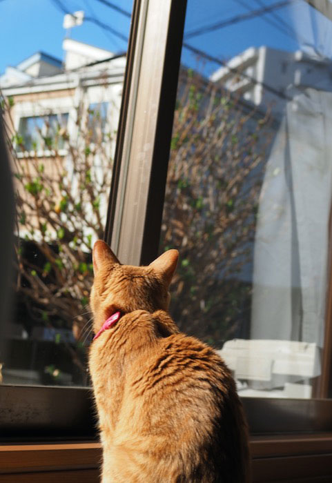 4日夕用３