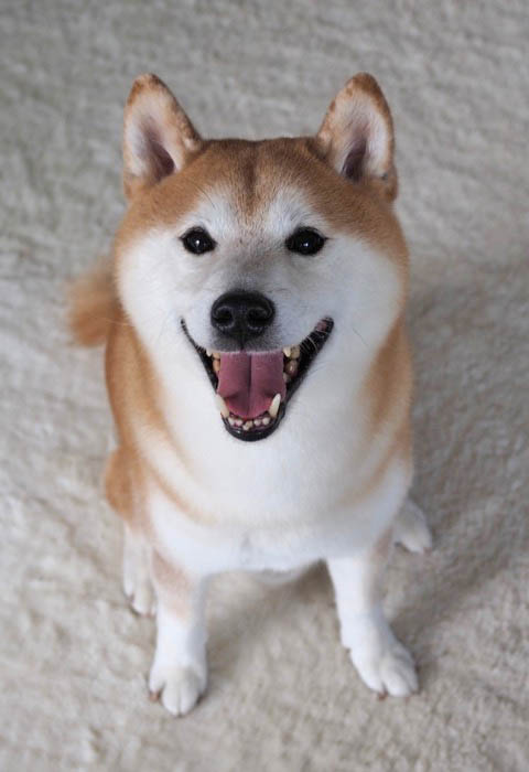 27日夜ブログ２