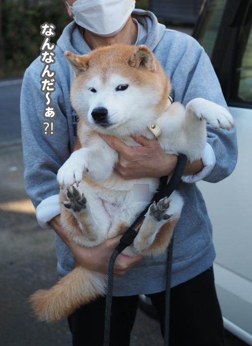 8日ブログ6