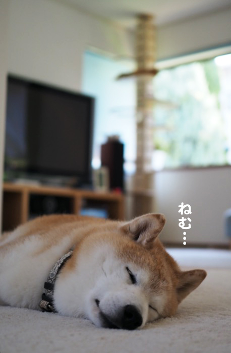 29日午前ブログ３