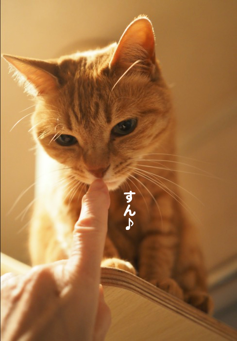 1日夕ブログ５